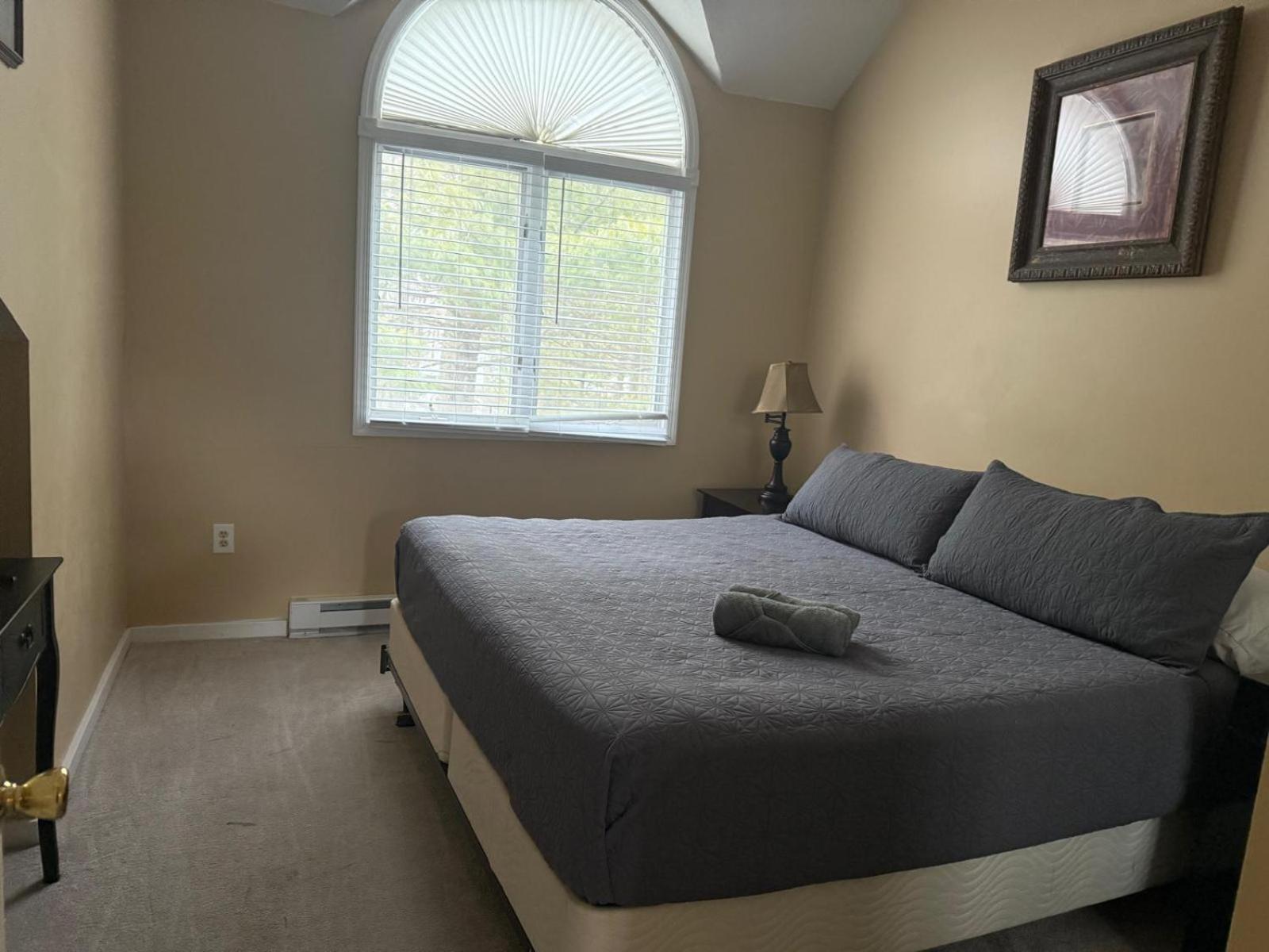 Apartment Beautiful Harmony Townhouse At Big Boulder And Area Lake Harmony